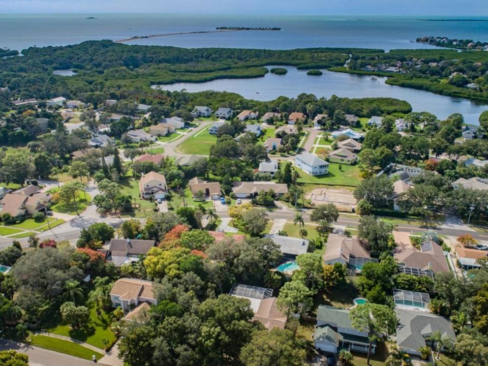 HOWARD PARK BEACH JUST BLOCKS AWAY1309 HILLSIDE IS THE 1ST HOUSE WITH BIRDCAGE IN FRONT ROW