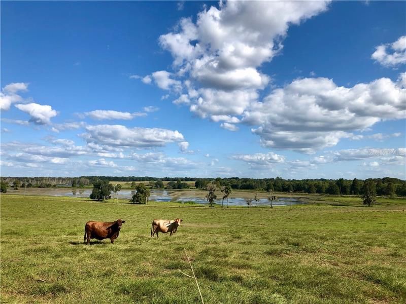 Vendido Recientemente: $1,000,000 (78.00 acres)