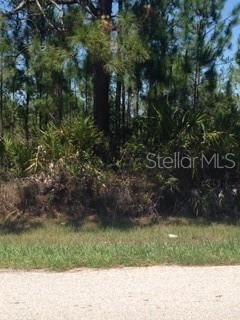 Recently Sold: $45,300 (1.25 acres)