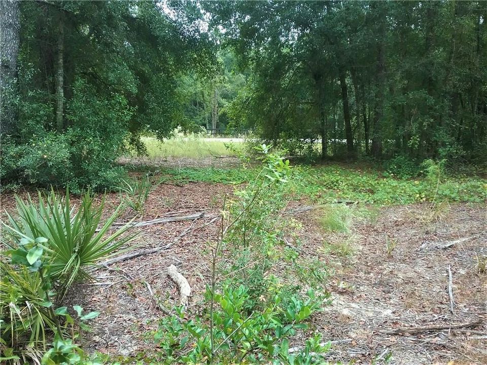 Recently Sold: $149,000 (5.55 acres)