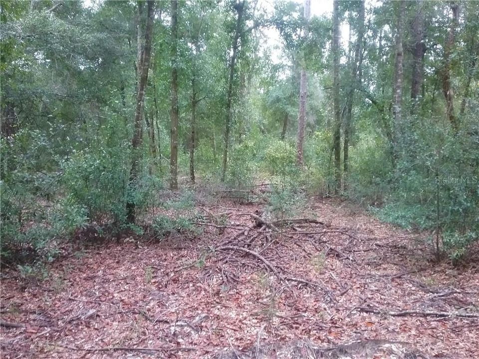 Vendido Recientemente: $149,000 (5.55 acres)