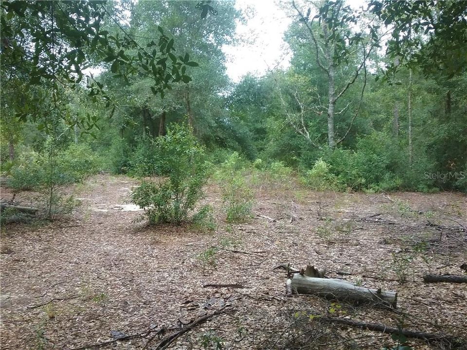 Недавно продано: $149,000 (5.55 acres)