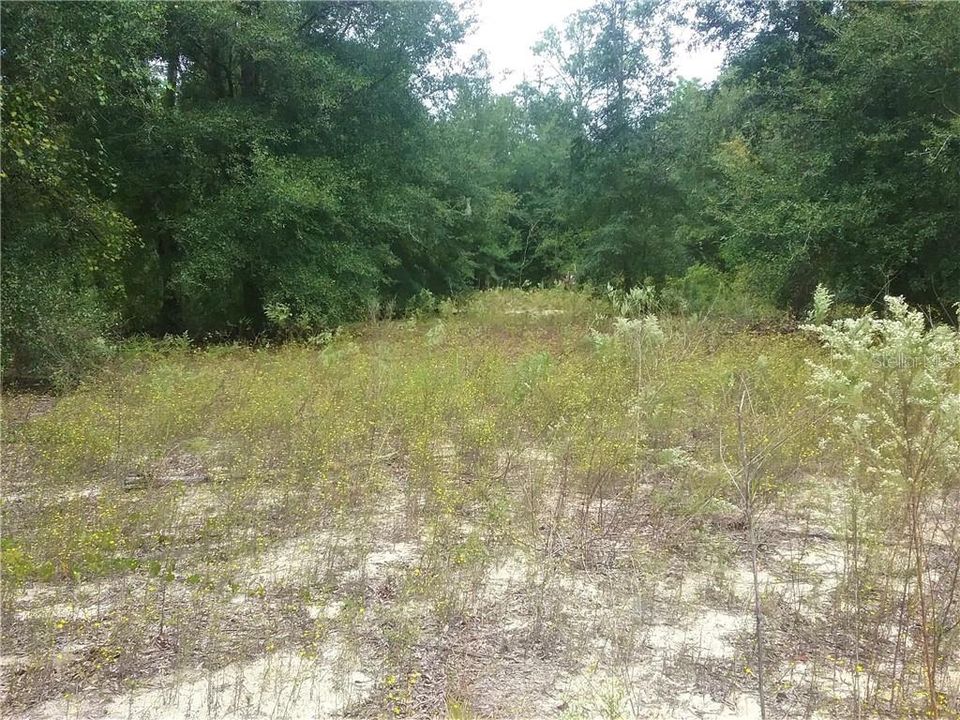 Recently Sold: $149,000 (5.55 acres)