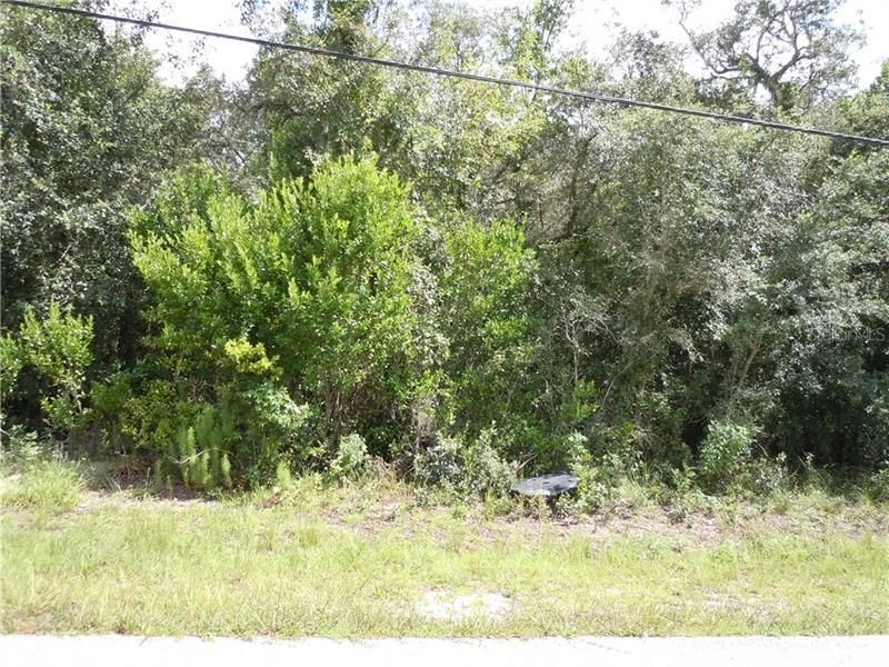 Recently Sold: $3,999 (0.20 acres)