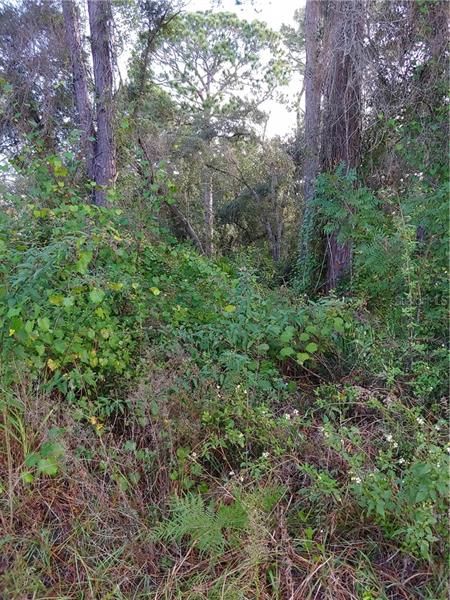 Recently Sold: $19,500 (0.40 acres)