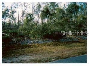 Recently Sold: $10,000 (0.31 acres)