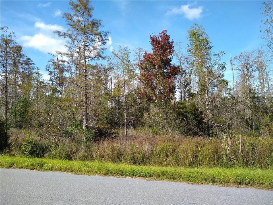 最近售出: $20,000 (1.84 acres)