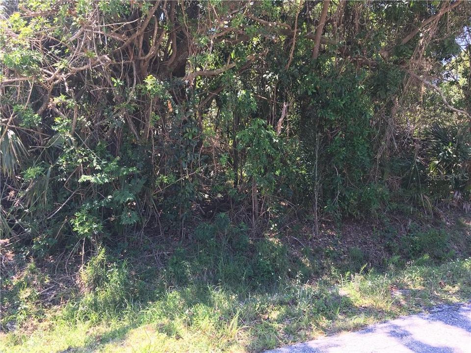 Recently Sold: $25,000 (0.18 acres)
