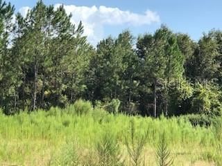 Recently Sold: $19,000 (0.92 acres)