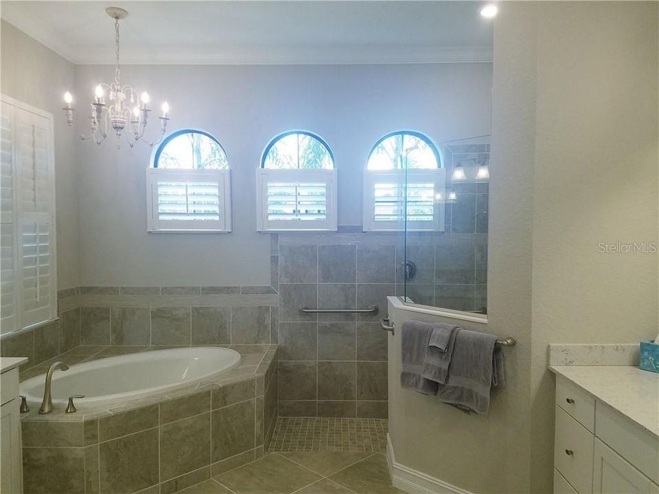 Mater bath with garden tub and walk in large shower