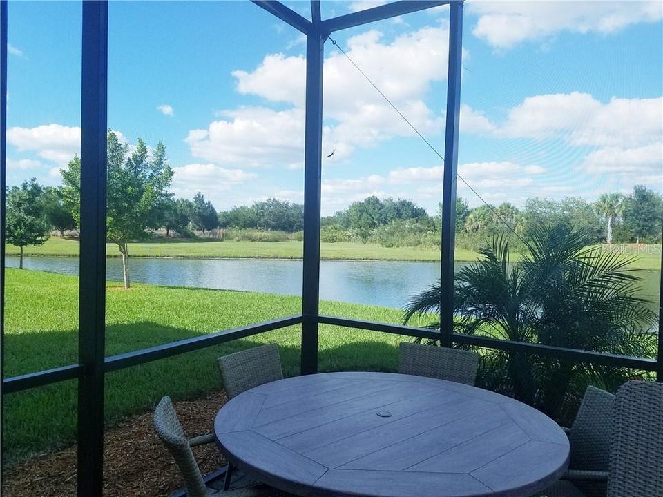 View of pond in the back yard