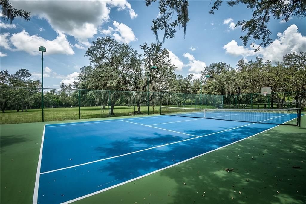 Newly refinished Tennis Courts