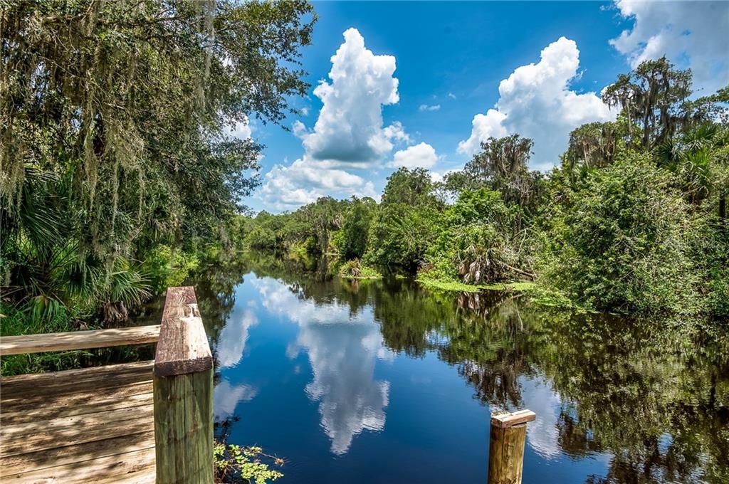 Launch your boat or your kayak into Shell Creek from your very own Dock.