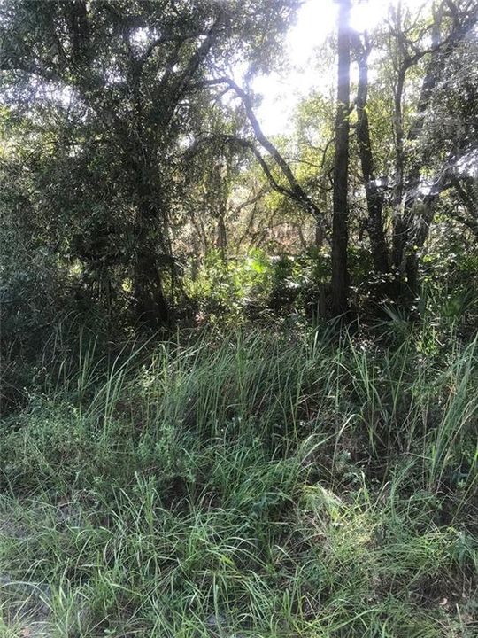 Vendido Recientemente: $45,000 (2.67 acres)