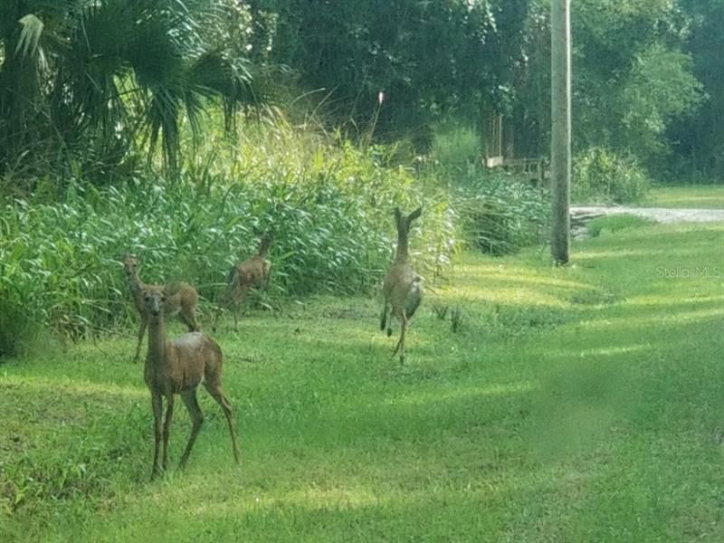 Недавно продано: $79,900 (10.12 acres)