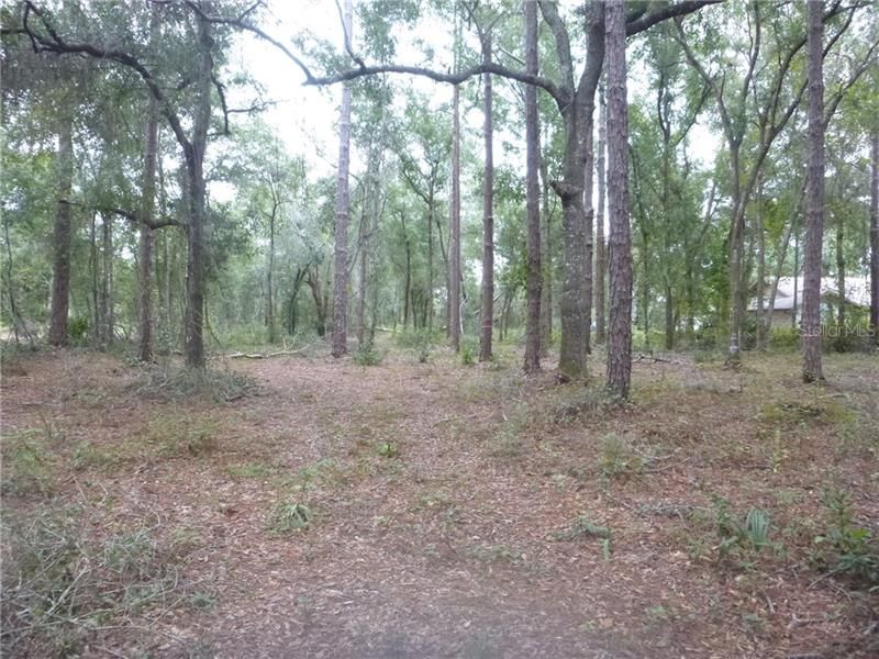 Recently Sold: $50,000 (0.87 acres)