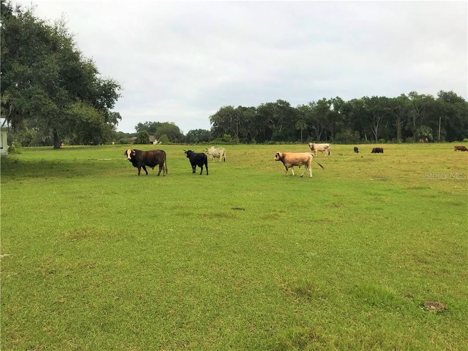 En Venta: $4,499,000 (40.00 acres)