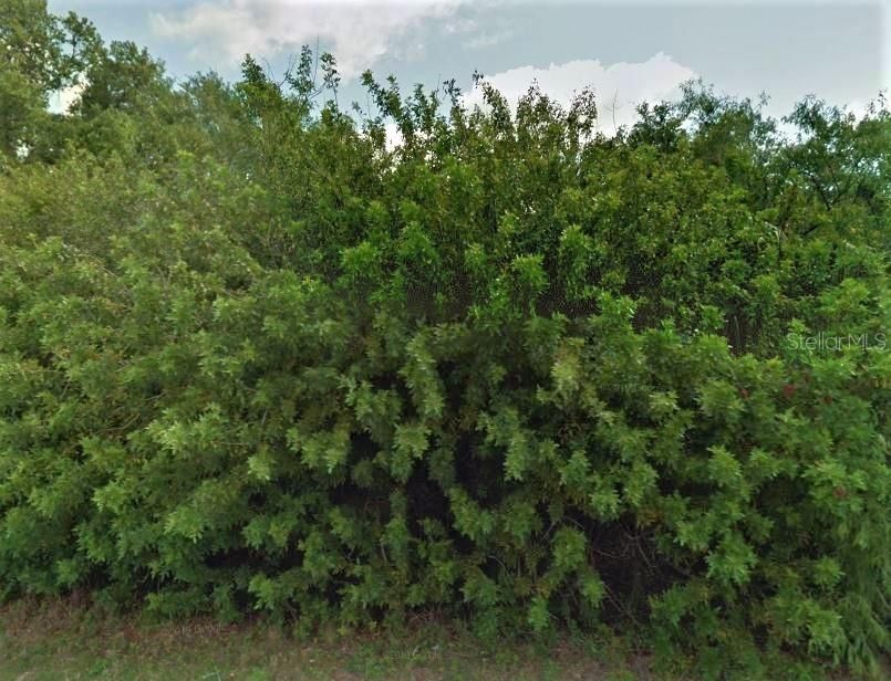 Recently Sold: $4,850 (0.23 acres)