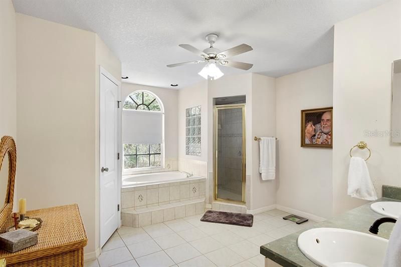 Master bath with garden tub and shower
