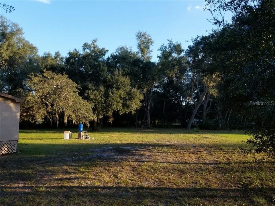 4077 CR 316 Bushnell Fl. 33513- yard