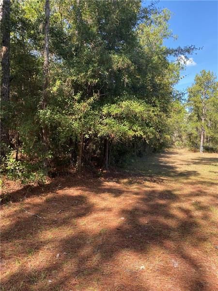 Recently Sold: $9,500 (0.46 acres)