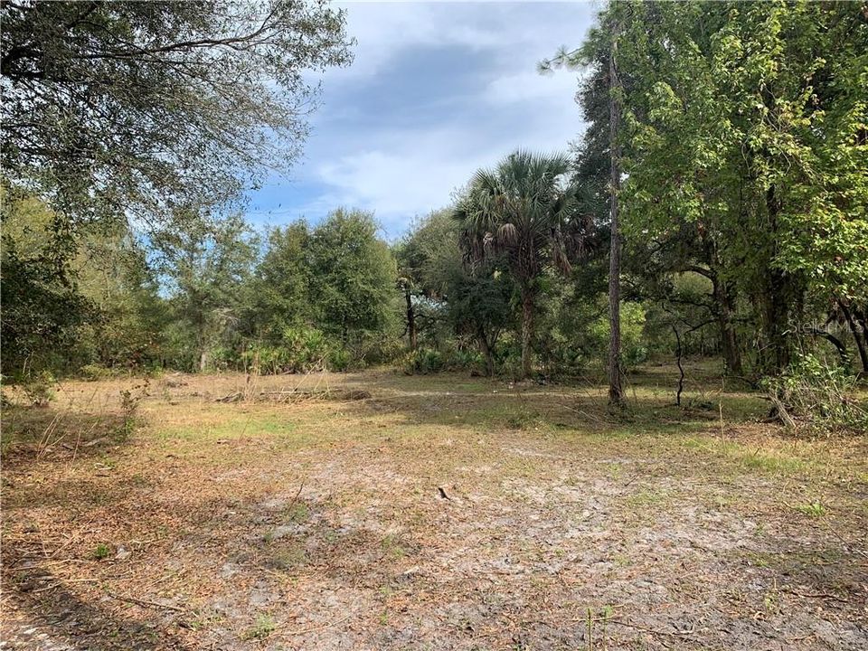 Recently Sold: $70,000 (5.00 acres)