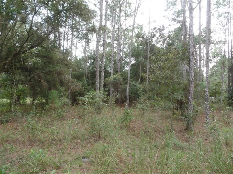 Recently Sold: $49,900 (2.28 acres)