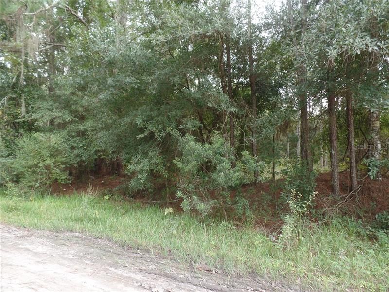 Recently Sold: $49,900 (2.28 acres)