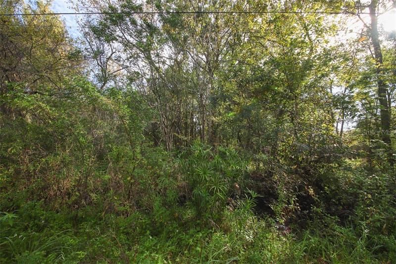 Recently Sold: $4,000 (0.18 acres)