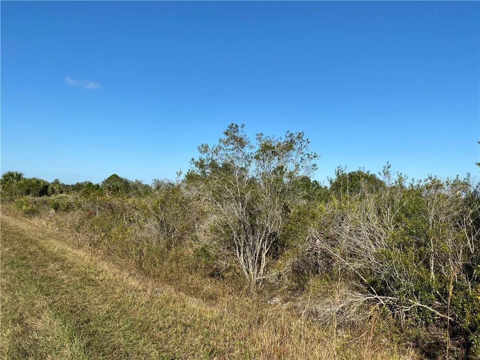 Recently Sold: $5,500 (1.25 acres)