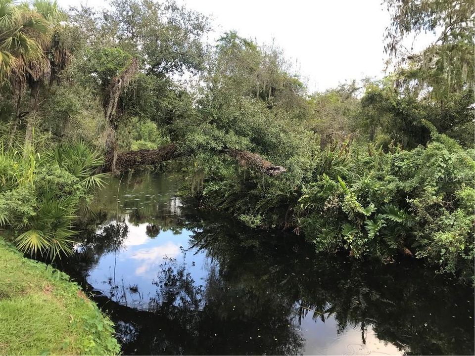 Olde Florida setting. Creek is included in the 2.31 acres.