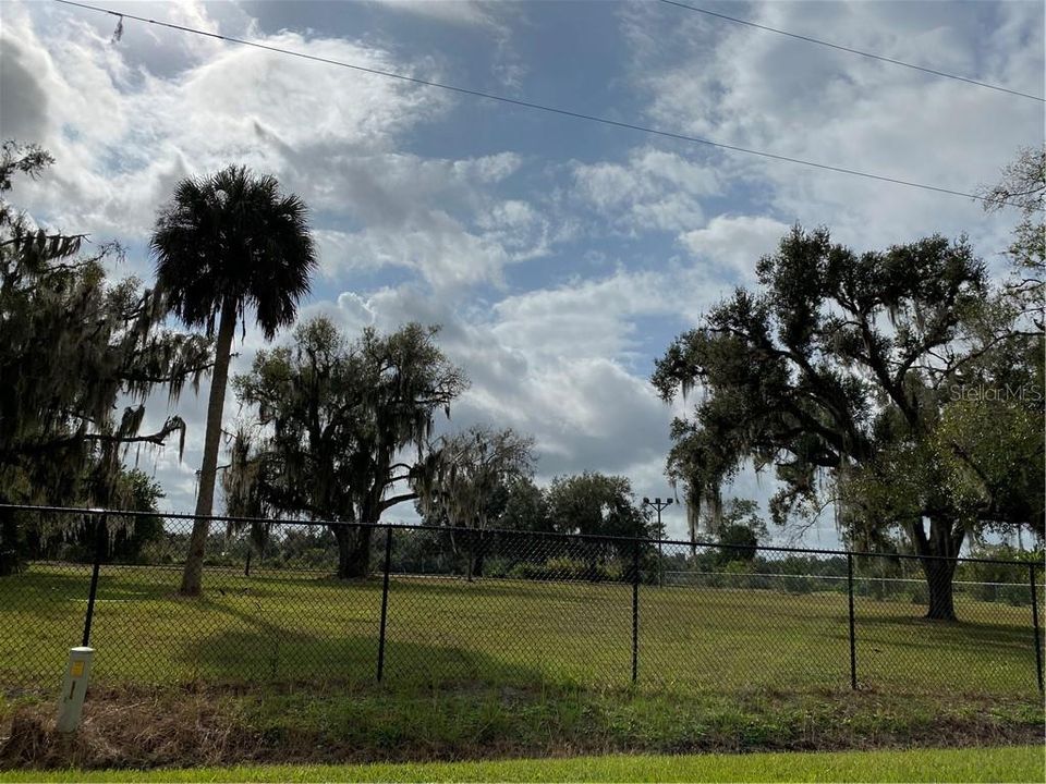 Land across the street.  They have horses in the pasture.  Caloosahatchee River is on the otherside of the pasture.