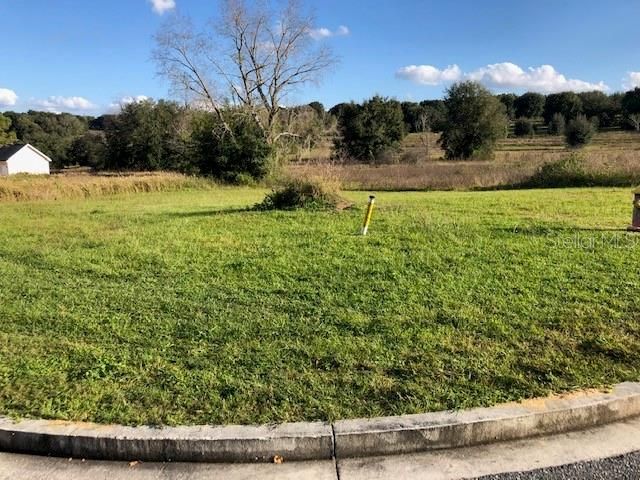 Recently Sold: $50,000 (0.25 acres)