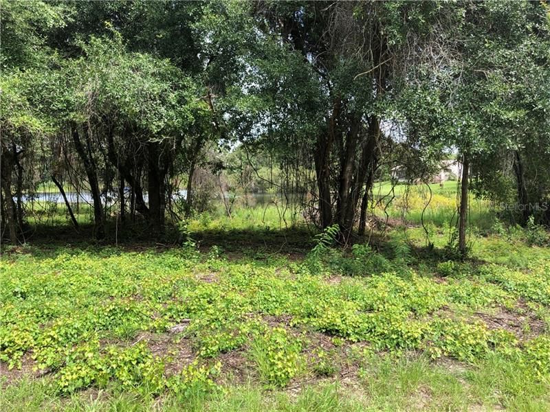 Recently Sold: $64,000 (0.96 acres)