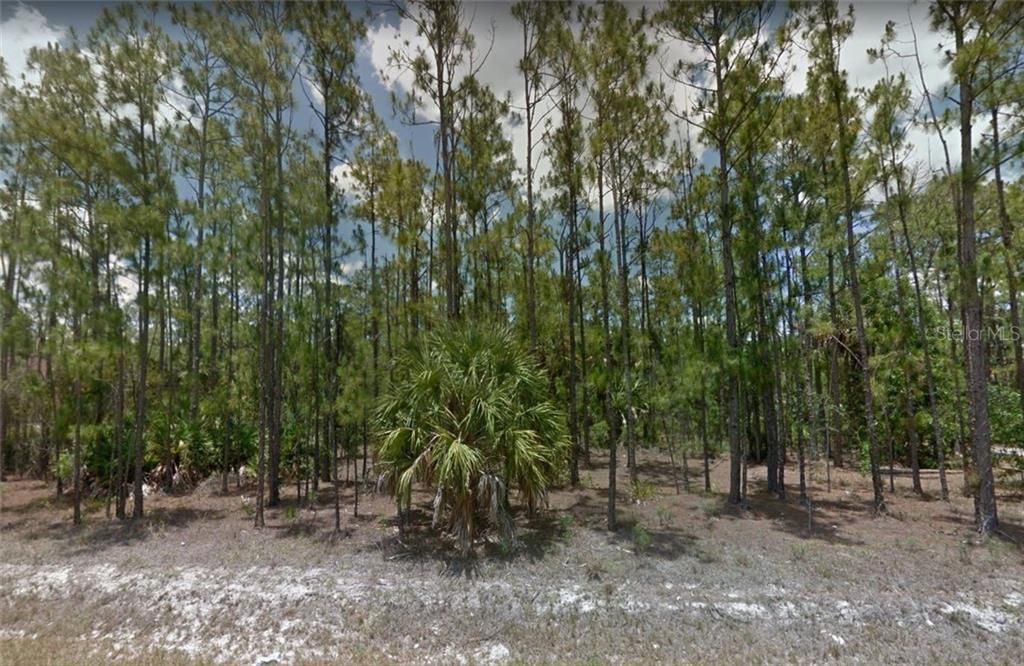 Vendido Recientemente: $39,999 (2.34 acres)