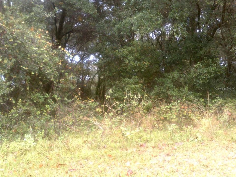 Vendido Recientemente: $40,000 (1.04 acres)