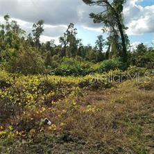 Vendido Recientemente: $14,000 (0.22 acres)