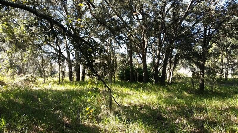 Recently Sold: $25,500 (0.40 acres)