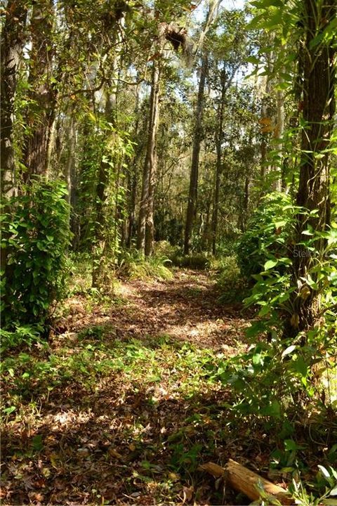 Recently Sold: $16,000 (0.70 acres)