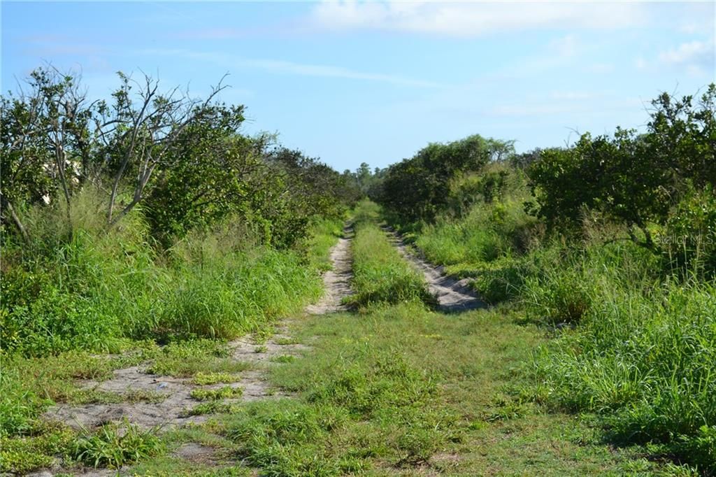 Vendido Recientemente: $840,000 (120.14 acres)