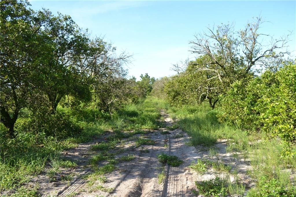 Recently Sold: $840,000 (120.14 acres)