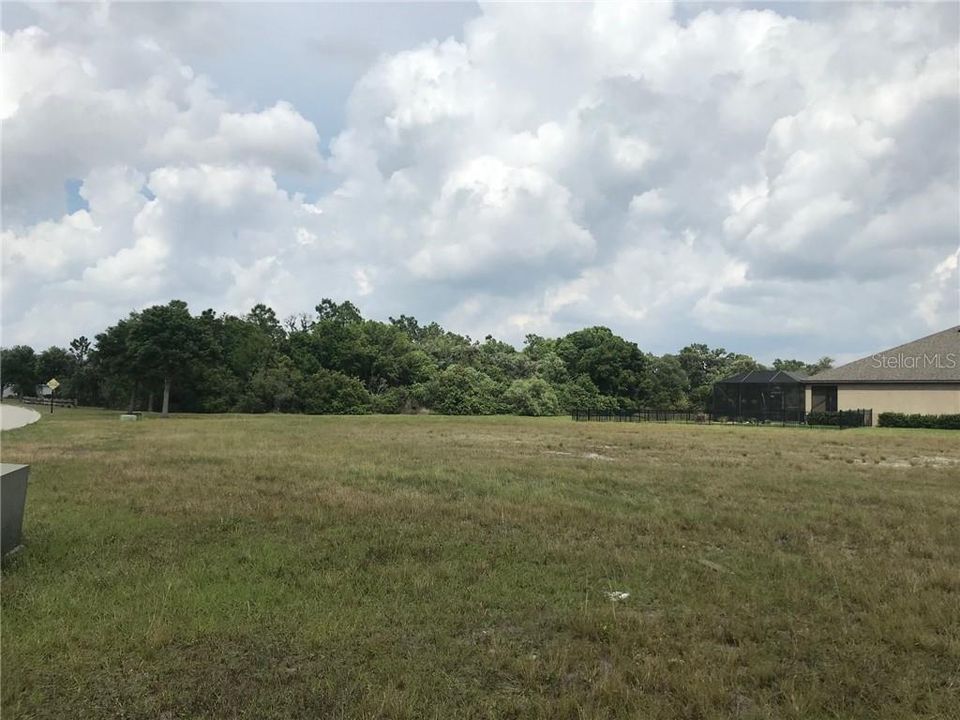 Recently Sold: $100,000 (0.60 acres)