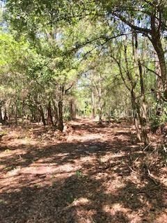 Vendido Recientemente: $157,800 (1.57 acres)