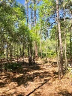 Recently Sold: $157,800 (1.57 acres)