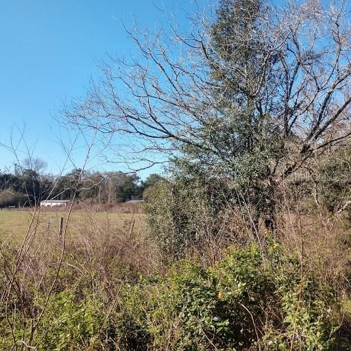 Recently Sold: $55,000 (3.00 acres)