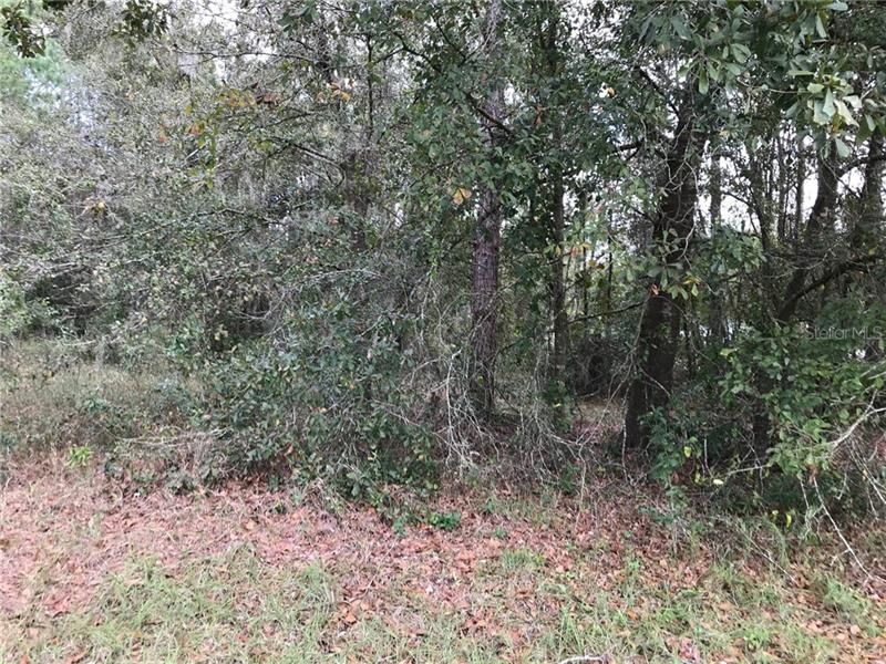 Recently Sold: $28,900 (1.03 acres)