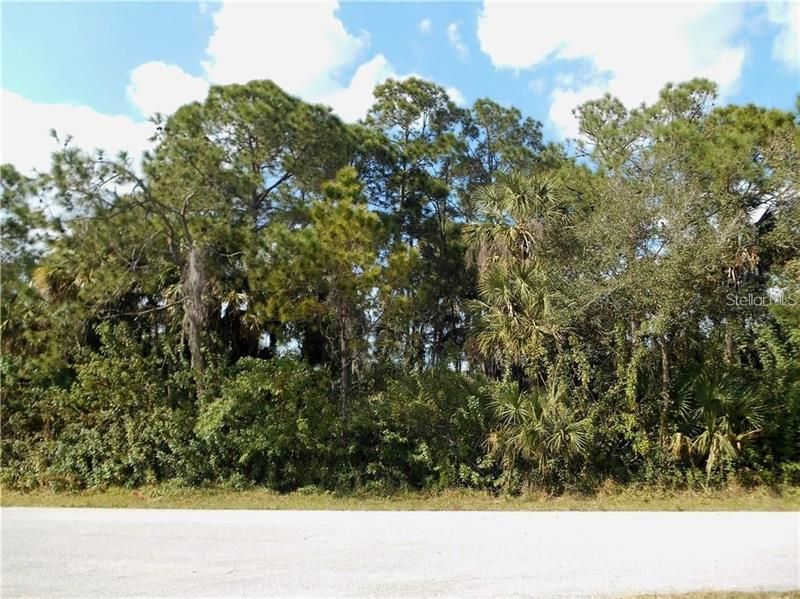 Recently Sold: $7,000 (0.30 acres)