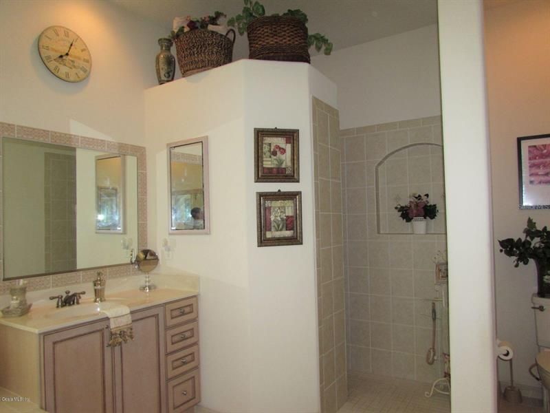 Master Bath Walk In Shower and Vanity 2