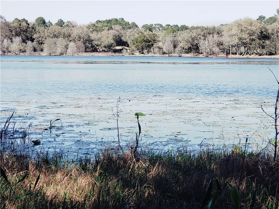 Rush Lake from lot