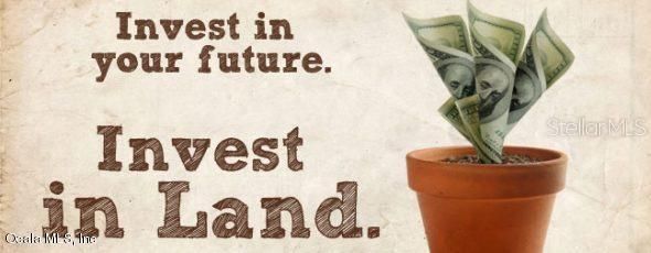 INVEST IN LAND